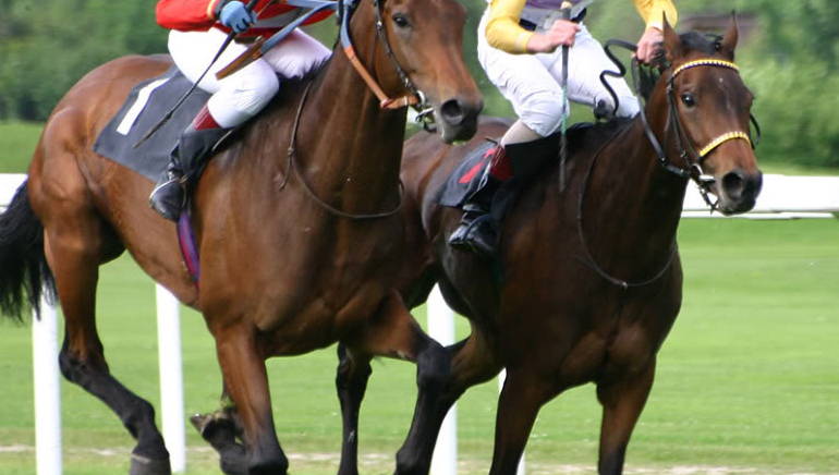 William Hill Sports tangkapan skrin 4