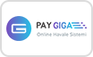 Pay Giga
